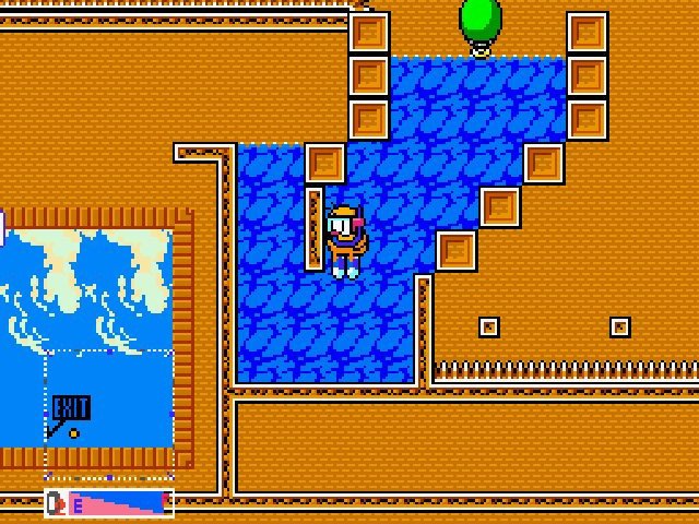 Retro Review de The NewZealand Story 9