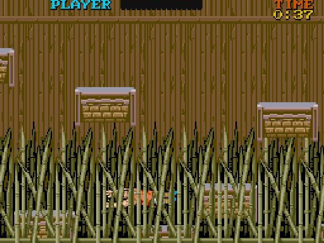 Retro Review de Tiger Road 14