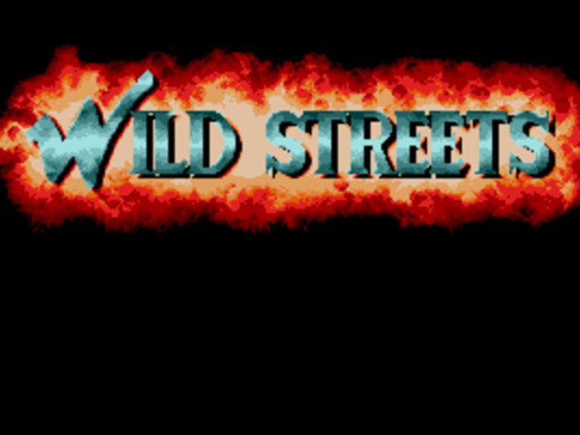 Retro Review de Wild Streets 1