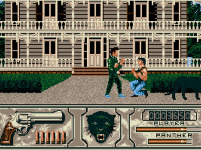 Retro Review de Wild Streets 2