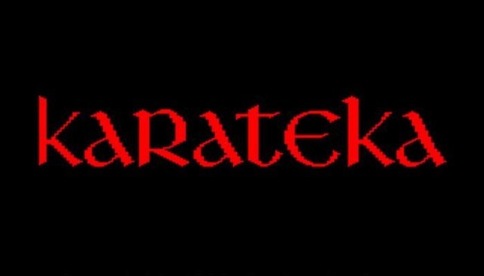 Retro Review Karateka