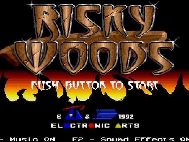 Retro Review Risky Woods 1