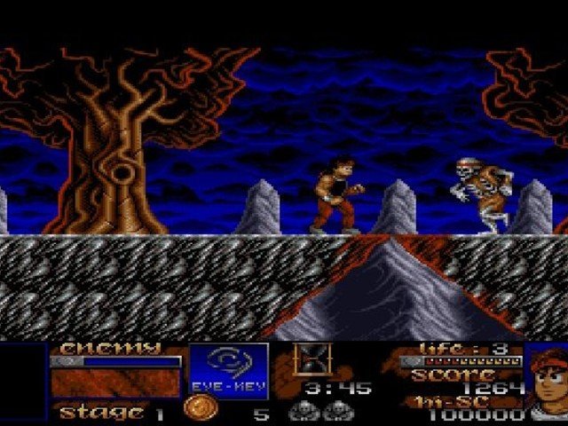 Retro Review Risky Woods 3