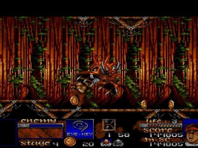 Retro Review Risky Woods 6