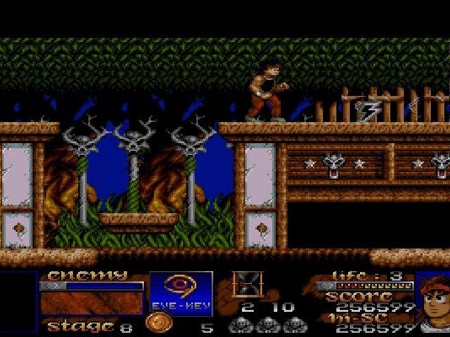 Retro Review Risky Woods 9
